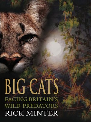 cover image of Big Cats